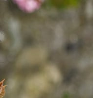 banner image